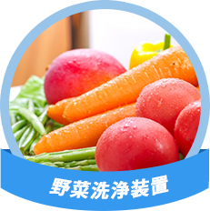 野菜洗浄装置